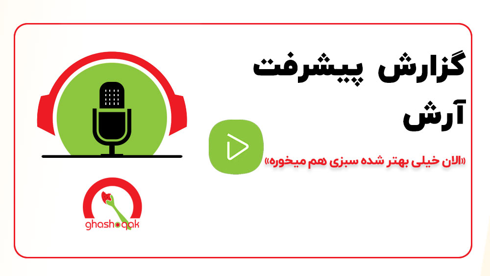 صفحه اصلی 5 01 Arashs progress report