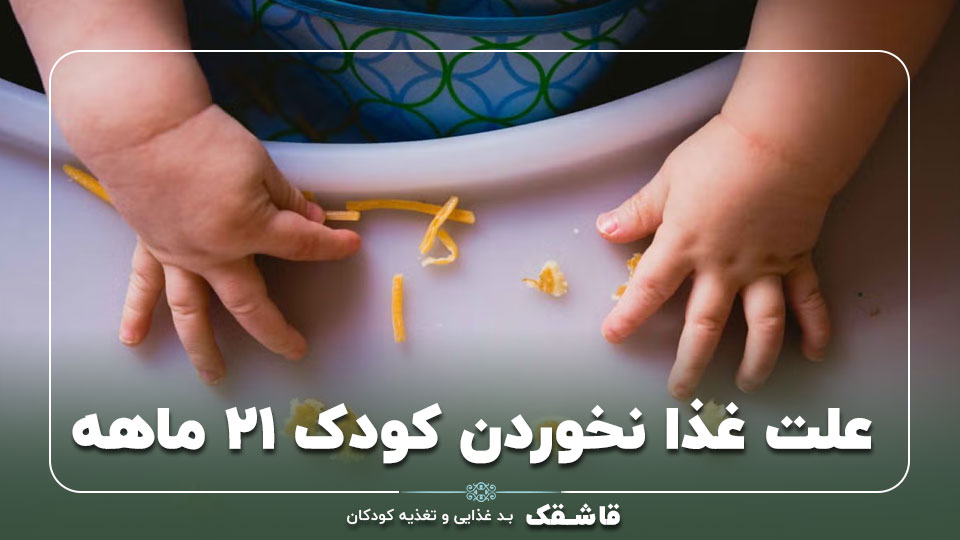 علت غذا نخوردن کودک ۲۱ ماهه【راهکارهای موثر و فوری】 1 علت غذا نخوردن کودک ۲۱ ماهه【راهکارهای موثر و فوری】