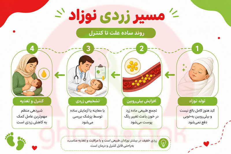چه غذاهایی برای زردی نوزاد مضر است؟【راهنمای کامل】 2 مراحل ایجاد و کنترل زردی نوزاد